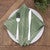 Forest Fern Napkins - Set of 6