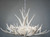 Mule Deer 9 Antler White Chandelier - Black Chain - CLEARANCE