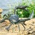 Crab Walk Garden Sculpture - OVERSTOCK