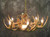 Whitetail 9 Antler Chandelier w/ Single Downlight