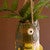 Largemouth Bass Hanging Planter
