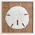 Island Shells Sand Dollar Wall Art - CLEARANCE