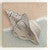 Conch Sea Treasure Metal Wall Art - OVERSTOCK
