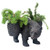Bear with Market Baskets