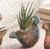Painted Desert Clay Bird Planter - Turquoise