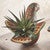Painted Desert Clay Bird Planter - Turquoise & Brown