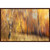 Birch Forest in Fall Framed Canvas