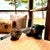 Black Bear Climbing Accent Table