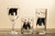 Black Bear Iced Tea Glasses - Set of 4