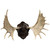 Black Forest Moose Horn Mount