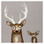 Buck and Baby Fawn Canvas Art