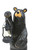 Koleman Grand Bear with Lantern