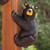 Righty Climbing Black Bear