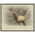 Bull Elk II Framed Canvas