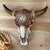 Bull Skull with Tooled Leather Design