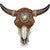 Bull Skull with Tooled Leather Design