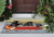 Canoe Bears Indoor/Outdoor Rug - 3 x 4