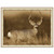 Caspian Deer Framed Art