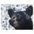 Classy Black Bear Canvas Art
