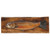 Brown Trout Wood Wall Hanging