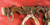 Double Ox Yoke Coat Rack