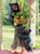 Bear Cubs Planter/Basket