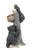 Bear Cubs Planter/Basket