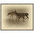 Early Morning Deer Trio Framed Canvas