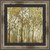 Eastern Birch Forest  Framed Print