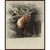 Elk Cry Framed Canvas