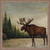 Evergreen Basin Moose Wall Art