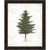 Evergreen Journal II Framed Canvas