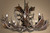 Real Fallow & Mule Deer Chandelier - Large
