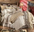 Fairfield Bed Set - Queen