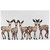 Family of Fawns Canvas Art