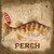 Fish & Tackle - Perch Canvas Art