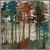 Forest Spectrum Canvas Art