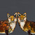 Foxy Ladies Gray Canvas Art