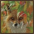 Foxy Gaze Canvas Art