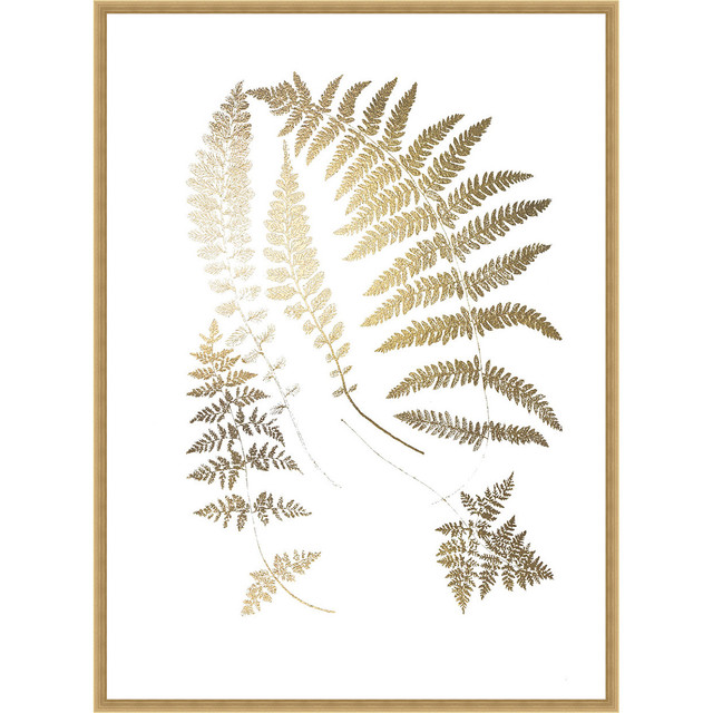 Golden Fern II Framed Print