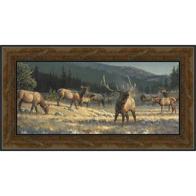 Mountain Elk Cry Framed Canvas