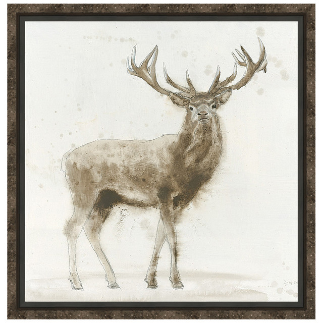 Stag 2 Framed Canvas