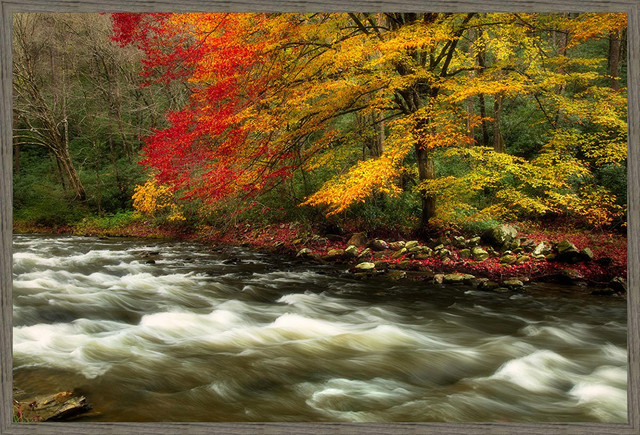 White River Framed Canvas