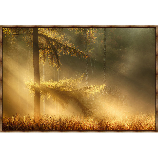 A Beam of Light Framed Canvas