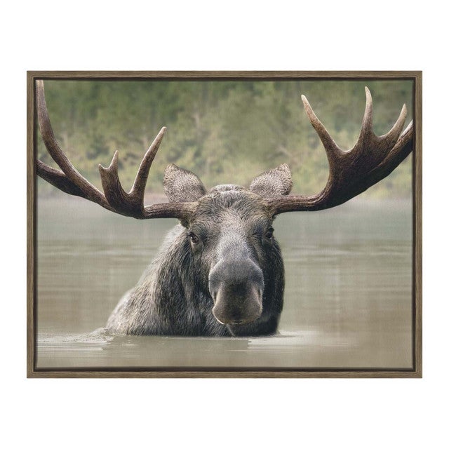Wild Waters Moose Framed Wall Art