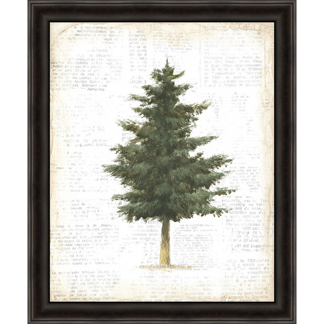 Evergreen Journal II Framed Canvas