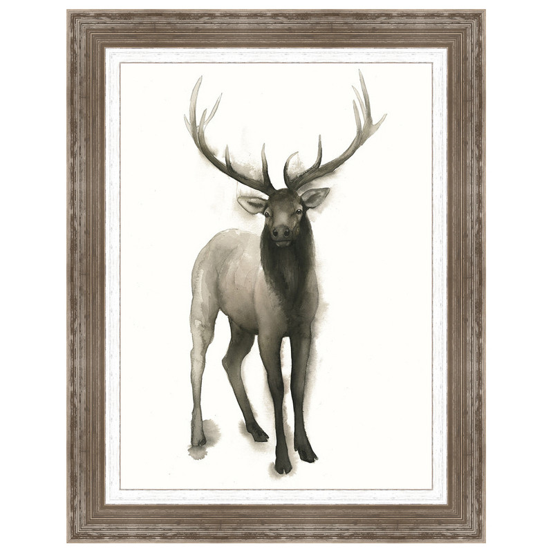 Majestic Wildlife II Framed Print