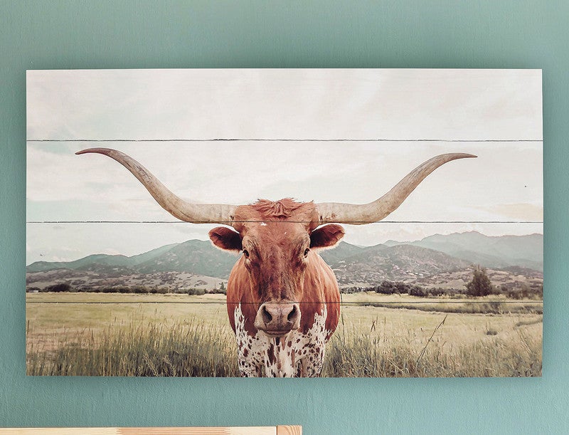 Longhorn Landscape Pallet Wall Hanging