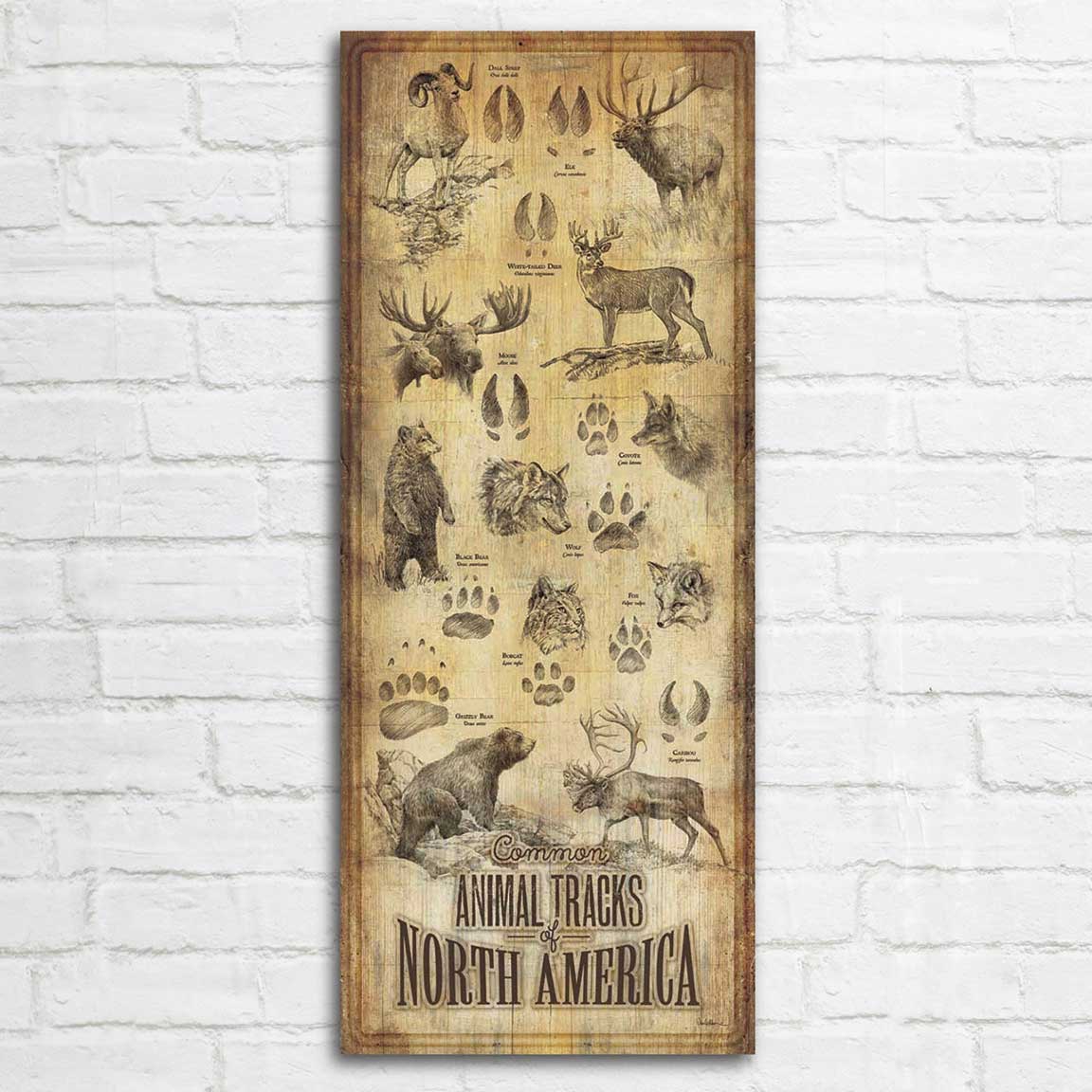 Wooden Wall Art | North American Tracks Wood Chart | Black
