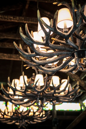 Creating an Antler Lamp